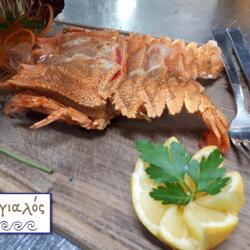 Aeyialos Fish Tavern Lobster